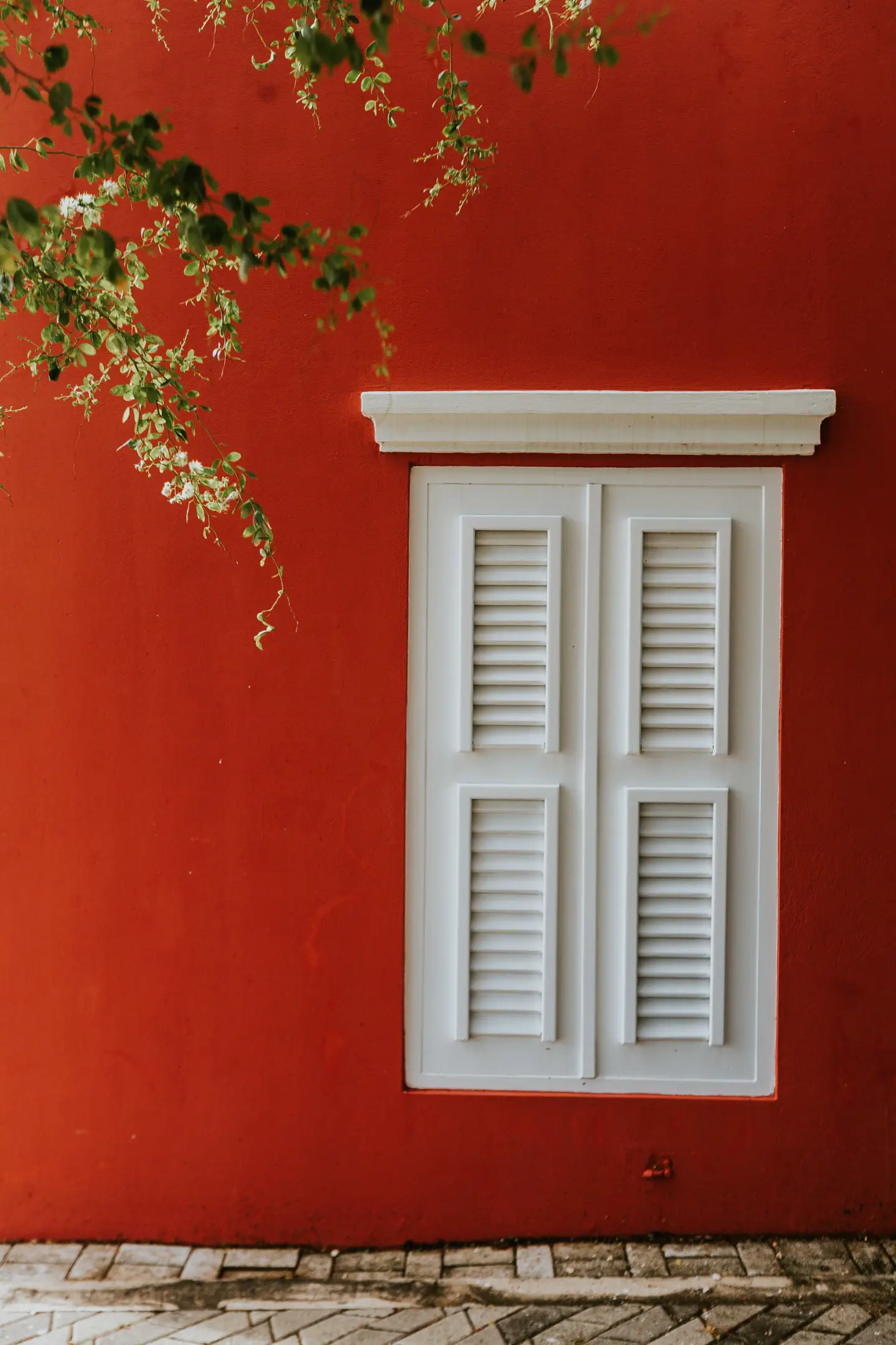 Ventana roja en una pared pintada en Aruba